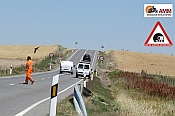 Recomendación de intensificación de la vigilancia en actividades que ponen en peligro la seguridad vial