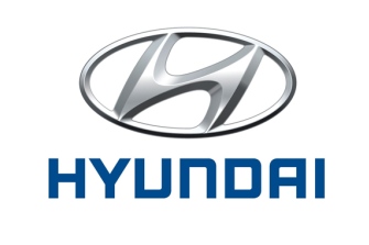 Posible fuga de aceite en el Hyundai Ioniq