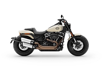 Falta de información en algunos modelos de Harley Davidson