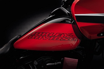 Set de piezas con pintura personalizada Harley Limited 2020