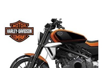 Se confirma la Harley Davidson HD350 para 2021