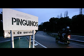 La dificultad de encontrar una nueva sede para Pingüinos 2015